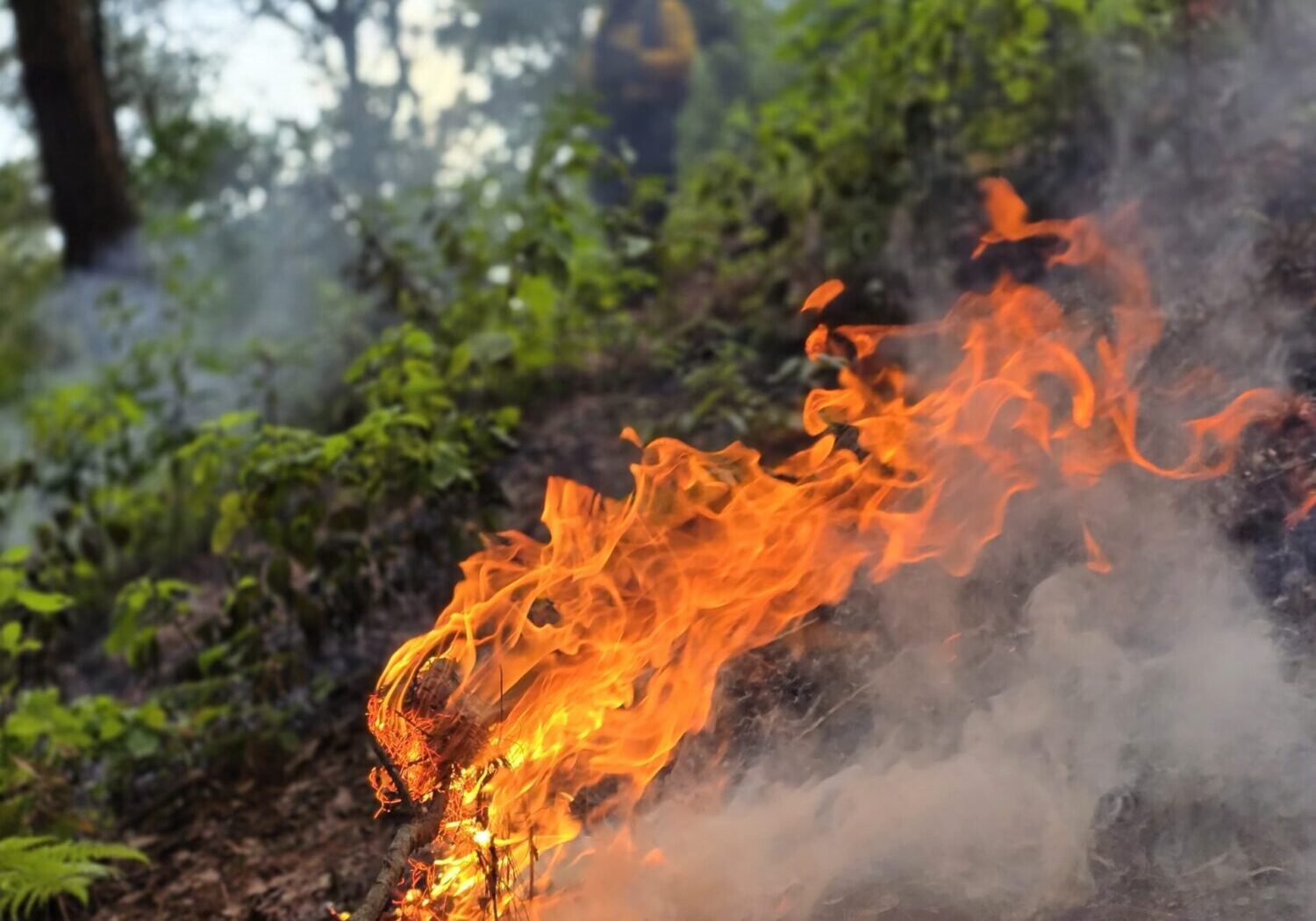 Incendios